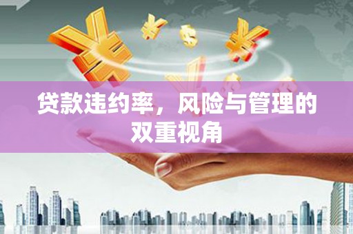 黑龙江贷款违约率，风险与管理的双重视角