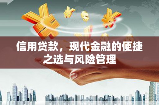 惠山信用贷款，现代金融的便捷之选与风险管理