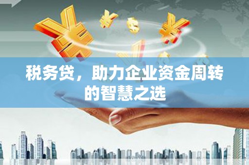 阆中税务贷，助力企业资金周转的智慧之选