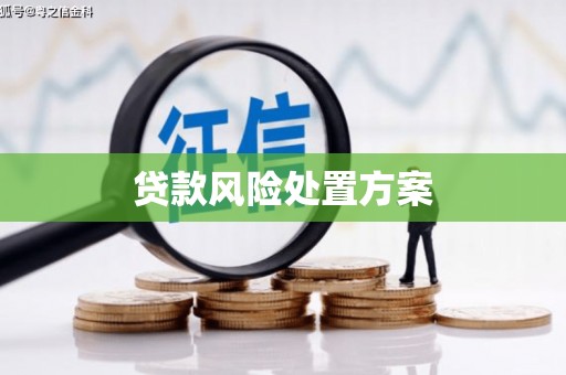 龙游贷款风险处置方案