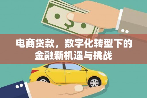 天津电商贷款，数字化转型下的金融新机遇与挑战