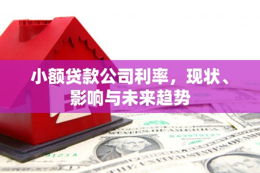 陵川小额贷款公司利率，现状、影响与未来趋势