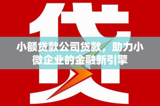 苏家屯小额贷款公司贷款，助力小微企业的金融新引擎