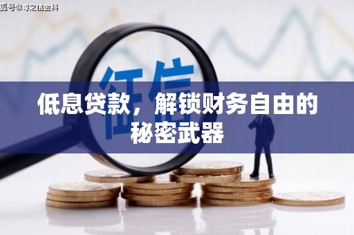 凤阳低息贷款，解锁财务自由的秘密武器