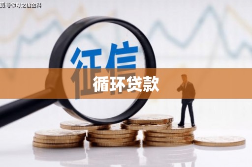 德清循环贷款
