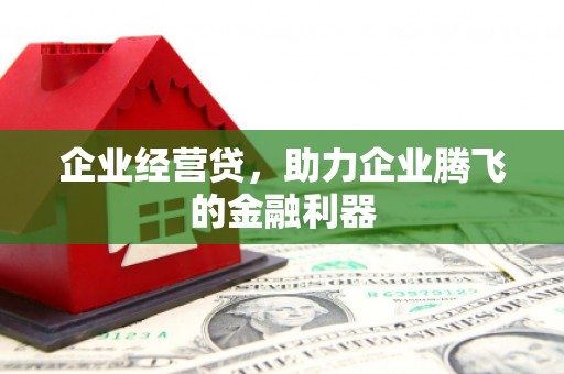 惠济企业经营贷，助力企业腾飞的金融利器