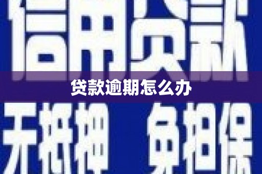 山海关贷款逾期怎么办