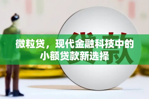 泾河微粒贷，现代金融科技中的小额贷款新选择