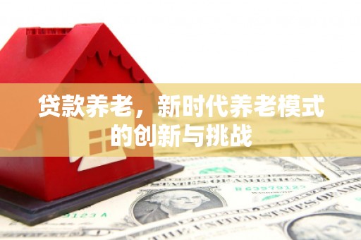 顺河贷款养老，新时代养老模式的创新与挑战