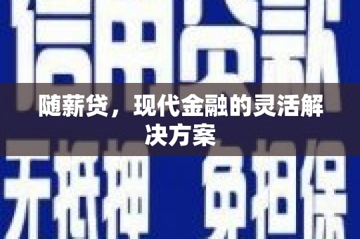 沙湾随薪贷，现代金融的灵活解决方案