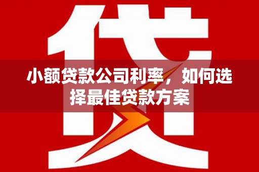南康小额贷款公司利率，如何选择最佳贷款方案