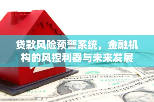 临朐贷款风险预警系统，金融机构的风控利器与未来发展