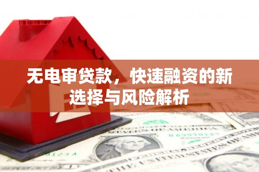 东宝无电审贷款，快速融资的新选择与风险解析