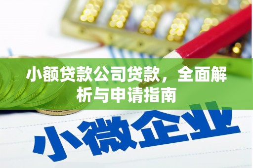 望安小额贷款公司贷款，全面解析与申请指南