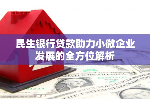 巴青民生银行贷款助力小微企业发展的全方位解析