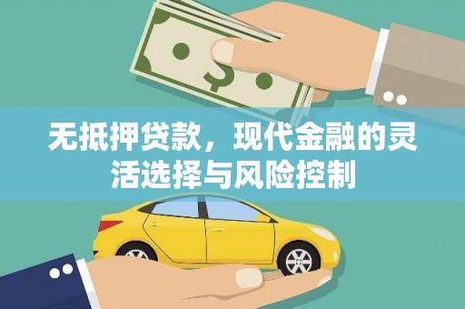 公安无抵押贷款，现代金融的灵活选择与风险控制
