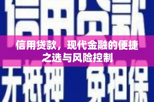 杂多信用贷款，现代金融的便捷之选与风险控制