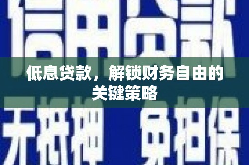 苏尼特右旗低息贷款，解锁财务自由的关键策略