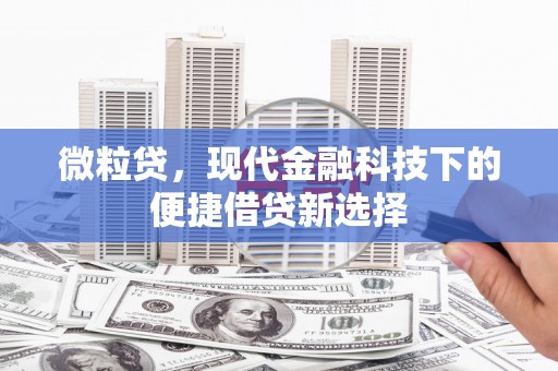 汕尾微粒贷，现代金融科技下的便捷借贷新选择