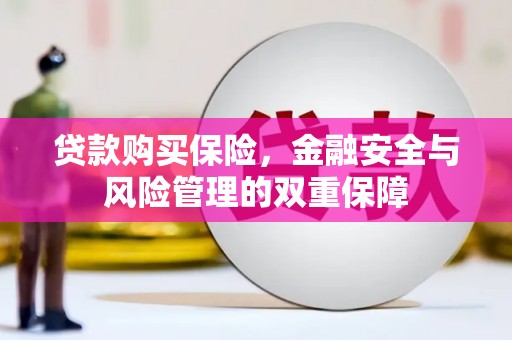 章贡贷款购买保险，金融安全与风险管理的双重保障