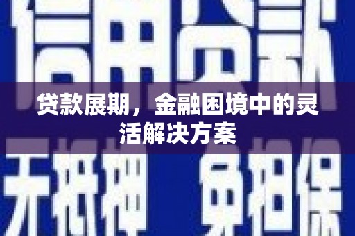 新店贷款展期，金融困境中的灵活解决方案
