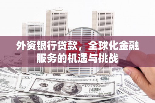 茄萣外资银行贷款，全球化金融服务的机遇与挑战