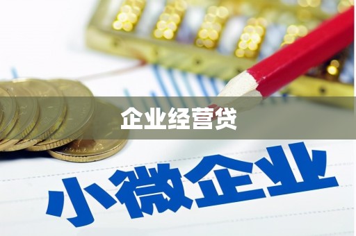 阳东企业经营贷