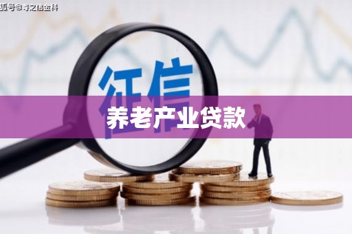 文昌养老产业贷款