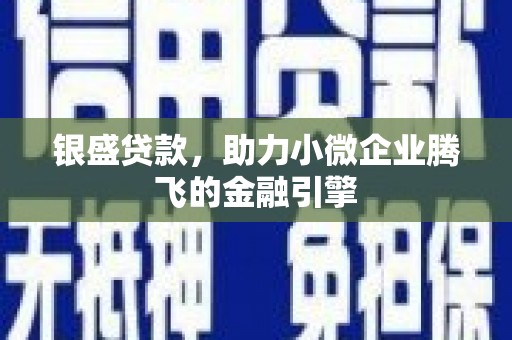 厦门银盛贷款，助力小微企业腾飞的金融引擎