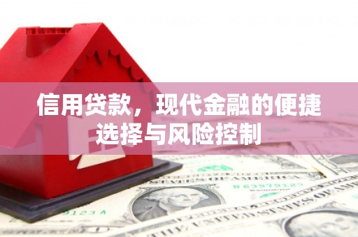 公安信用贷款，现代金融的便捷选择与风险控制
