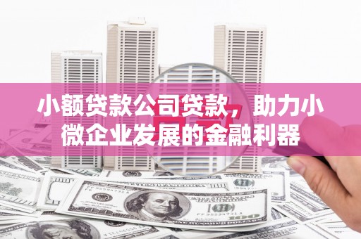 钟祥小额贷款公司贷款，助力小微企业发展的金融利器