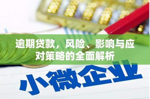 林周逾期贷款，风险、影响与应对策略的全面解析