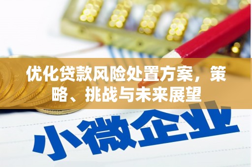 宾川优化贷款风险处置方案，策略、挑战与未来展望