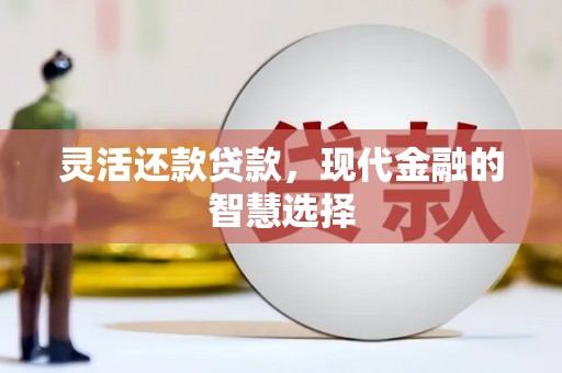 河源灵活还款贷款，现代金融的智慧选择