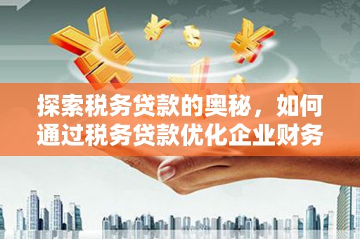 瑞穗探索税务贷款的奥秘，如何通过税务贷款优化企业财务