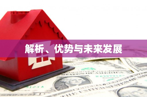 永清解析、优势与未来发展
