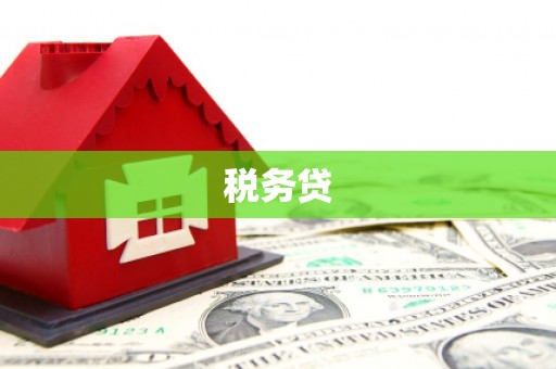 伽师税务贷