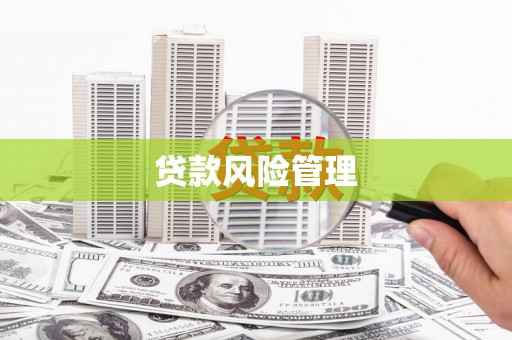 遵化市贷款风险管理