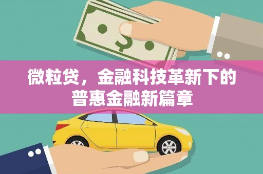 惠济微粒贷，金融科技革新下的普惠金融新篇章