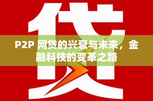 潭子P2P 网贷的兴衰与未来，金融科技的变革之路