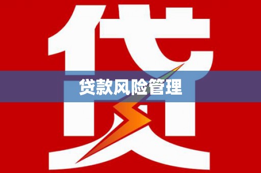 凌海贷款风险管理