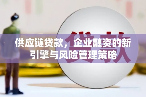 师宗供应链贷款，企业融资的新引擎与风险管理策略