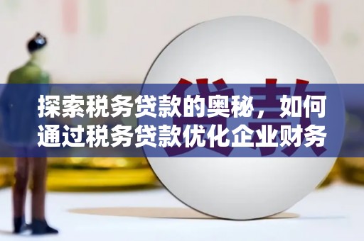 普洱探索税务贷款的奥秘，如何通过税务贷款优化企业财务