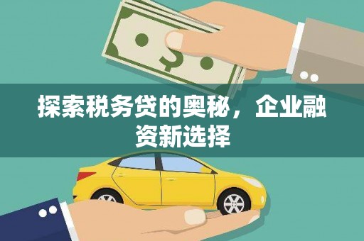 桃城探索税务贷的奥秘，企业融资新选择