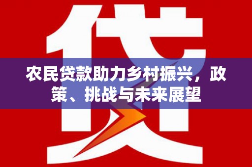 新河农民贷款助力乡村振兴，政策、挑战与未来展望