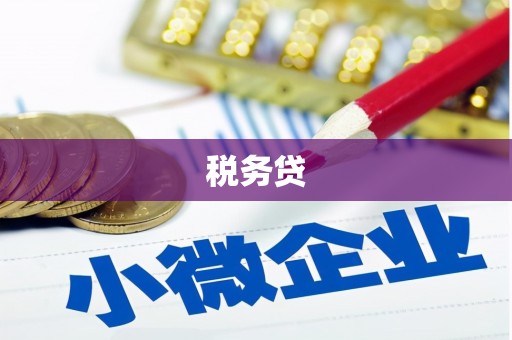 西昌税务贷