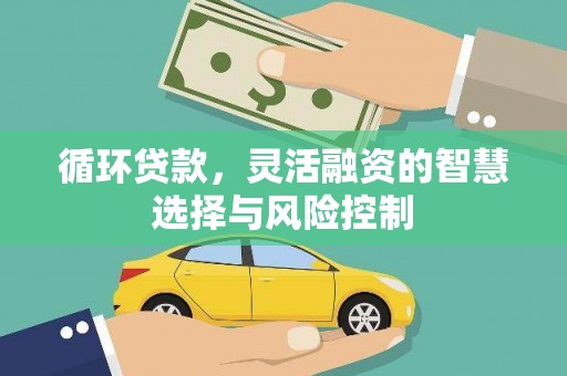 冀州循环贷款，灵活融资的智慧选择与风险控制