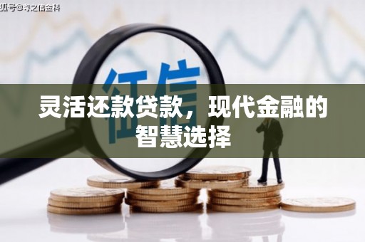 永定灵活还款贷款，现代金融的智慧选择