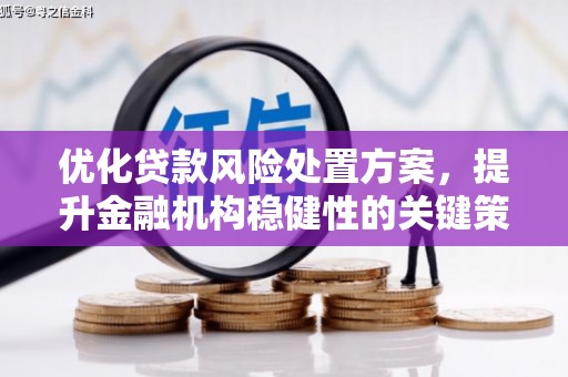 江口优化贷款风险处置方案，提升金融机构稳健性的关键策略