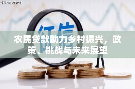 东昌府农民贷款助力乡村振兴，政策、挑战与未来展望
